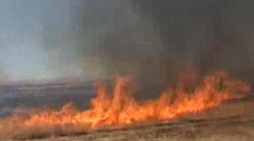Adıyaman'da alev hortumu