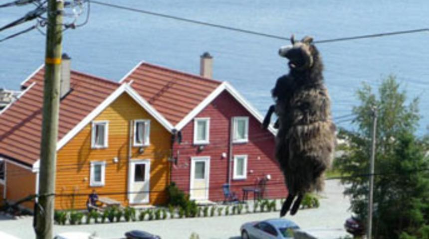 Elektrik tellerine ko&ccedil; kondu!