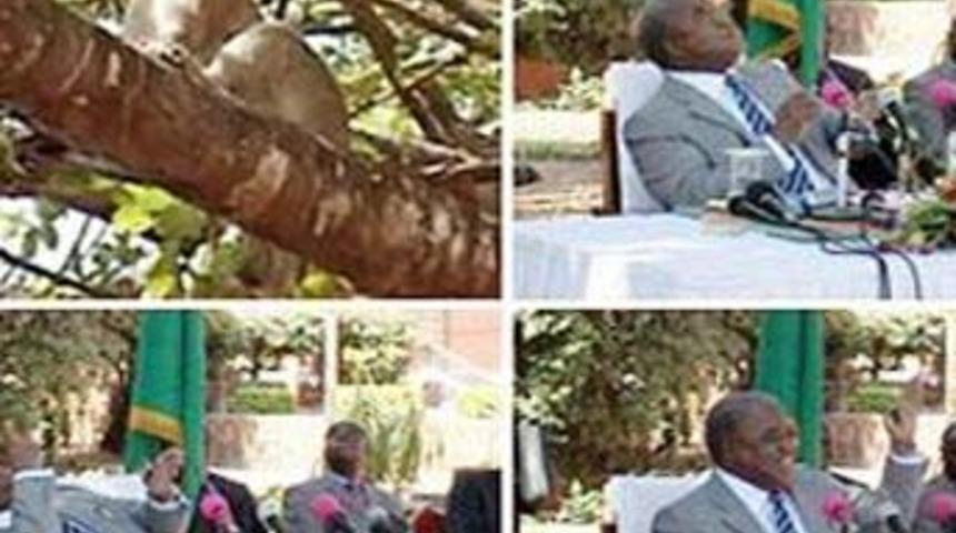 Maymunlardan intikamını aldı