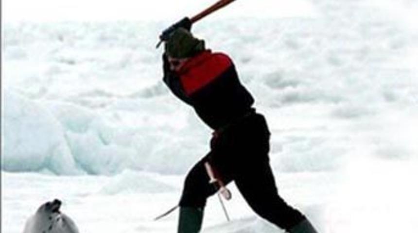 Ve vahşet başladı