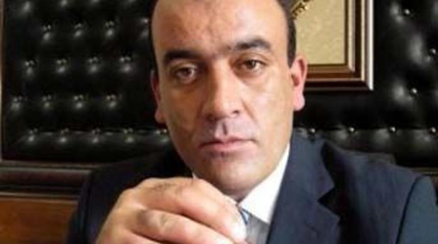 Kedicik, g&uuml;zel bir otele ne dersin?