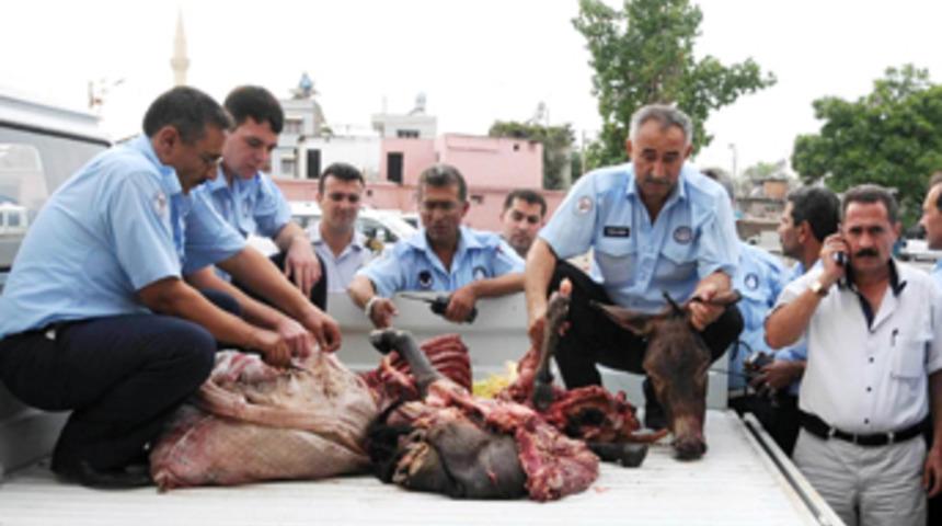 Satılmaya hazır eşek eti operasyonu!