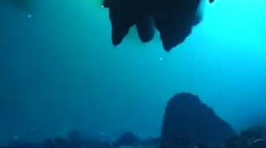 Suluin mağarasında yaşam izleri...