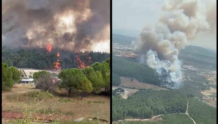 Alevlerle havadan ve karadan mücadele! İzmir’de orman yangını çıktı