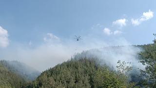 Osmaniye'de orman yangınına müdahale ediliyor!