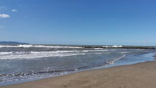 Ordu'da denize girme yasağı! Valilik duyurdu: Dalgalar ve rip akıntısı sonrası uyarı geldi