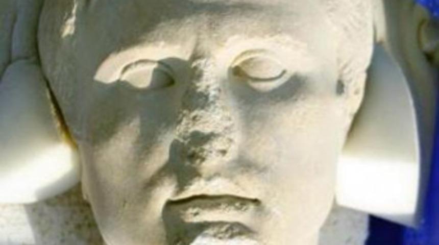 Denizli'yi zengin edecek baş