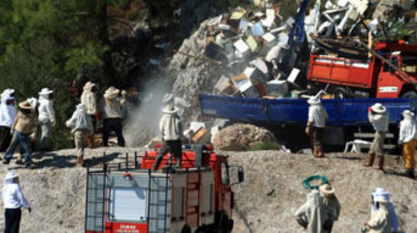 Otoyolu arılar bastı!