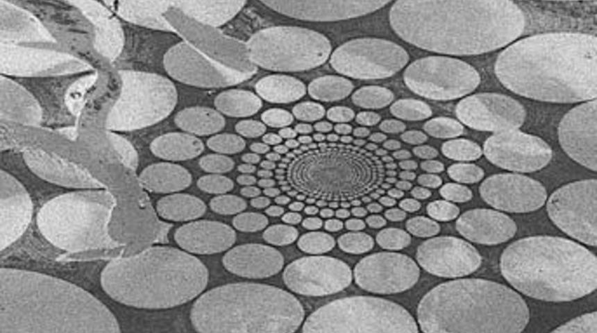 Sanatın en doğal hali!