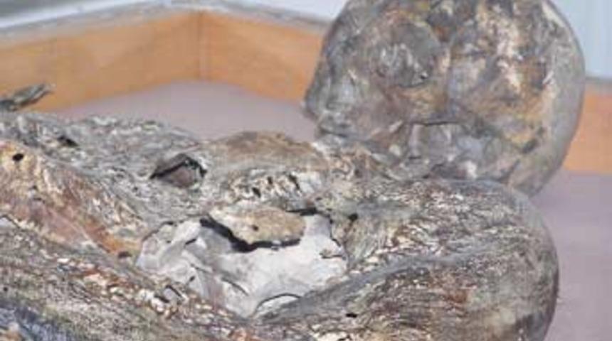 İşte mumyalanmış ilk m&uuml;sl&uuml;man T&uuml;rkler