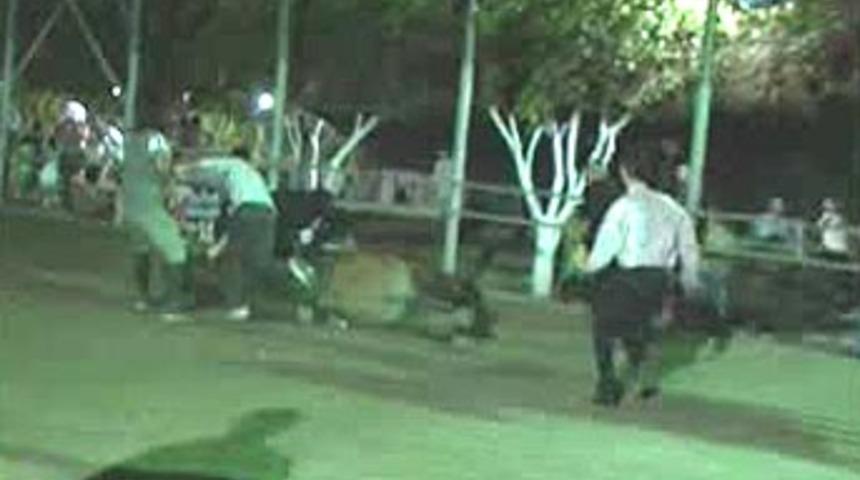 Belediye başkanı attan d&uuml;şt&uuml;