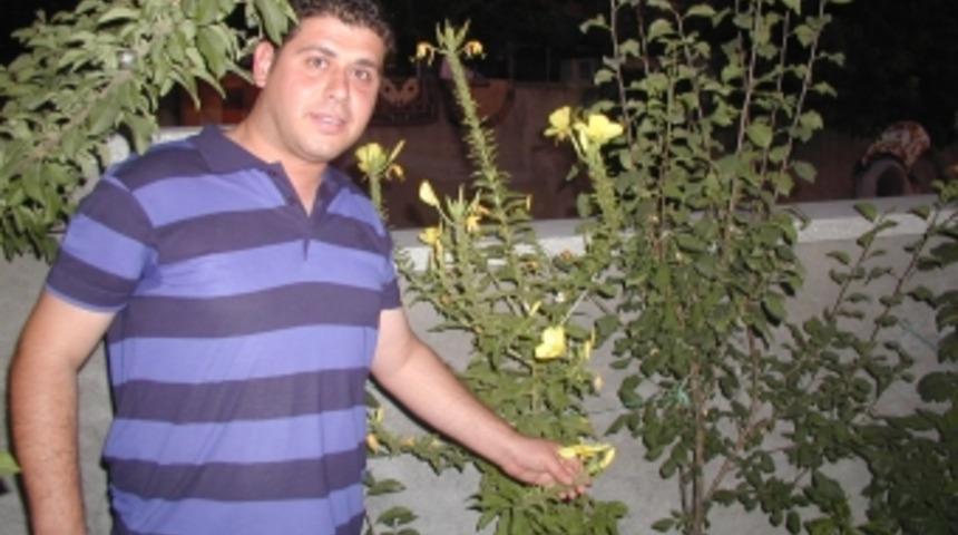 Ezan &ccedil;i&ccedil;eği g&ouml;renleri şaşkına &ccedil;evriyor