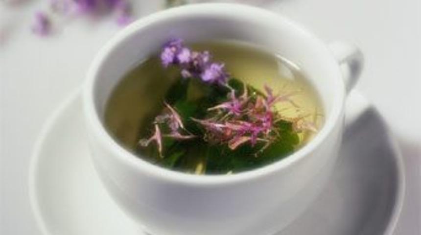 Hangi bitkiler hangi ila&ccedil;la alınmamalı?