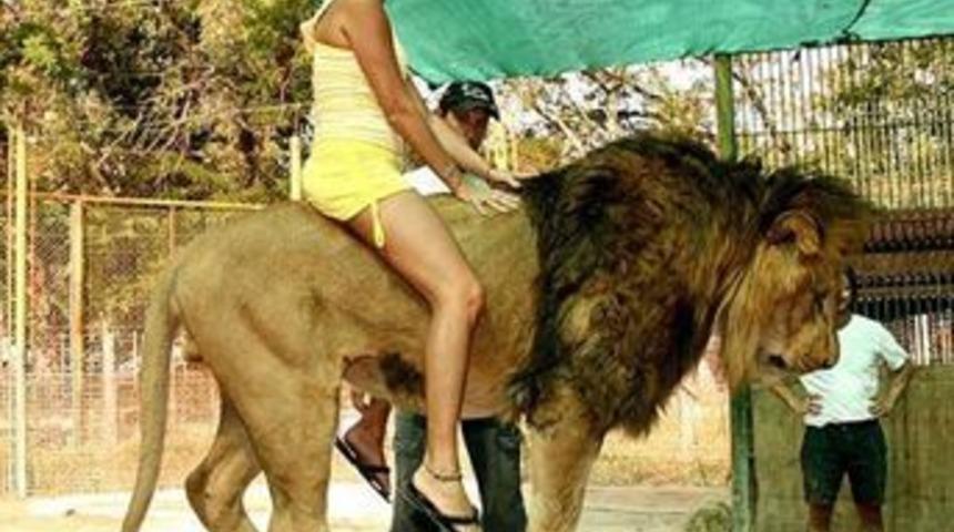 Korkmana gerek yok, yaklaş!