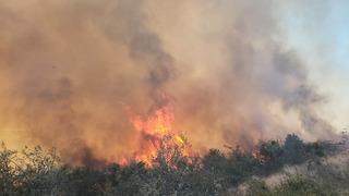 Çanakkale'de yangın! Havadan ve karadan müdahale, kısmen kontrol altına alındı