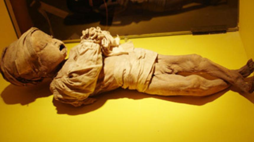 Diri diri b&ouml;yle g&ouml;m&uuml;ld&uuml;ler