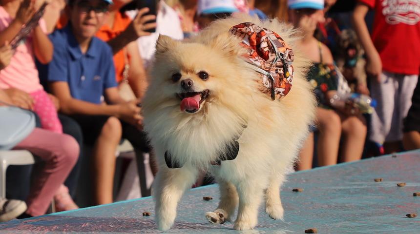 Denizli'de "Pati Festivali" yapıldı