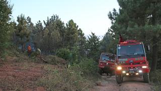 Sakarya'da çıkan yangında yaklaşık 1 hektarlık ormanlık alan zarar gördü