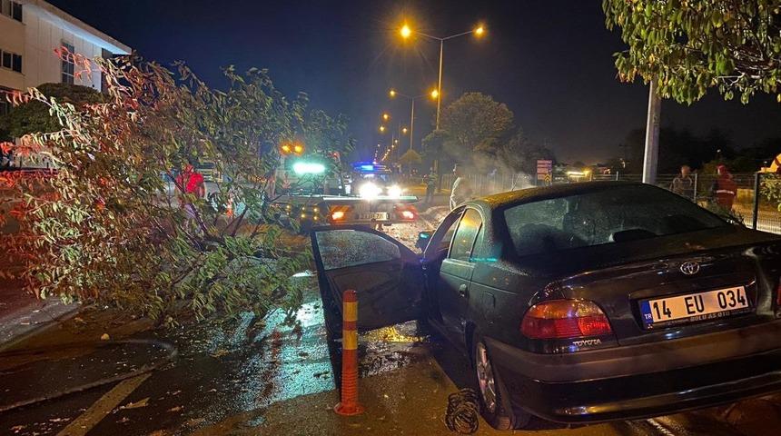 Aracıyla &ccedil;arptığı orta ref&uuml;jdeki ağacı g&ouml;vdesinden kırdı: 1 yaralı