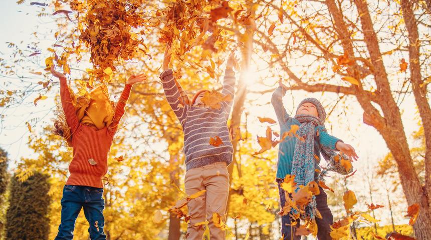 Şu köşe yaz köşesi, şu köşe kış köşesi: Sen hangi mevsimsin?