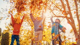 Şu köşe yaz köşesi, şu köşe kış köşesi: Sen hangi mevsimsin?