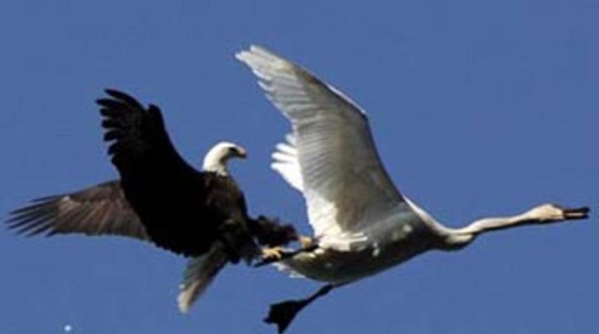 Havada dehşet veren saldırı