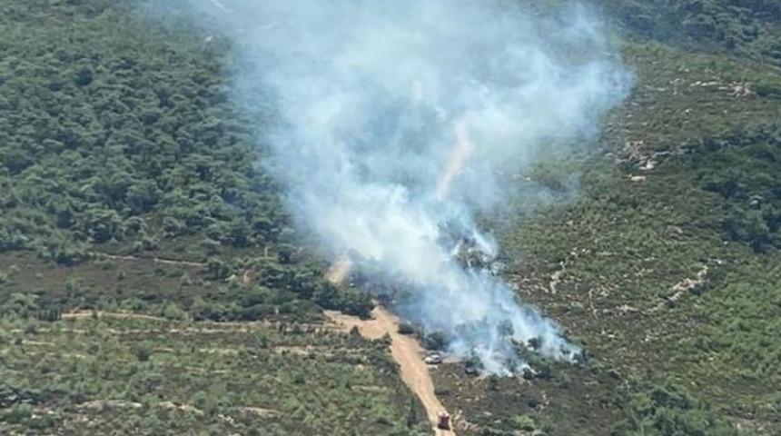 Son dakika: İzmir Foça'da orman yangını! Ekipler sevk edildi