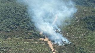 Son dakika: İzmir Foça'da orman yangını! Ekipler sevk edildi