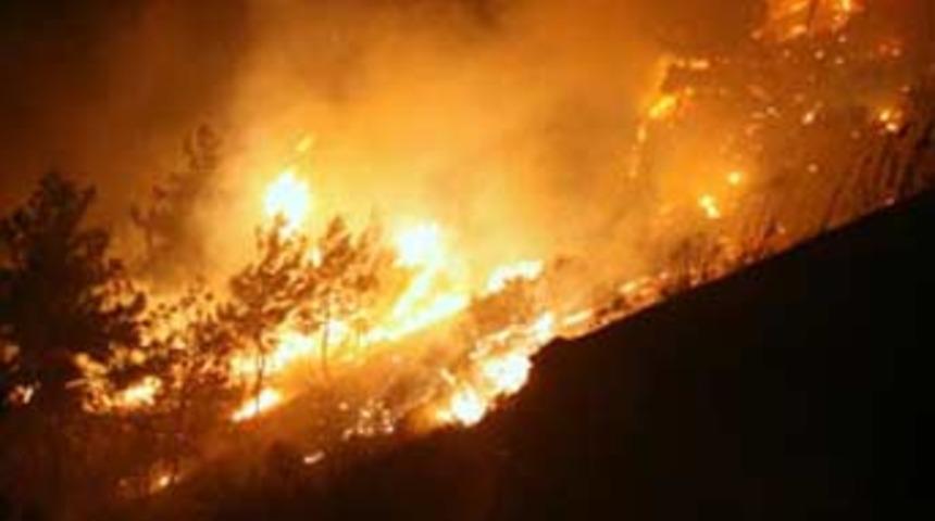 &Ccedil;anakkale'de orman yangını