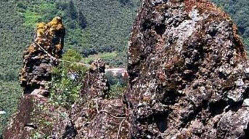 B&ouml;yle y&ouml;ntem g&ouml;r&uuml;lmedi