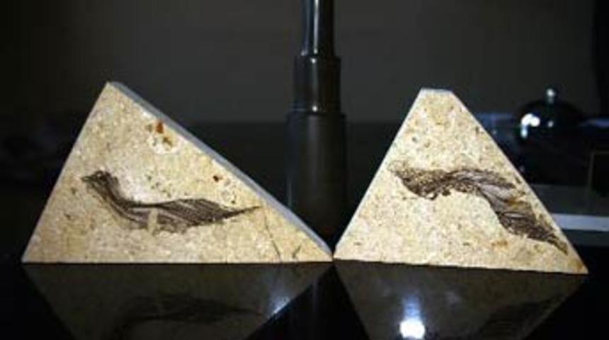 Tarihi değiştirecek keşif!