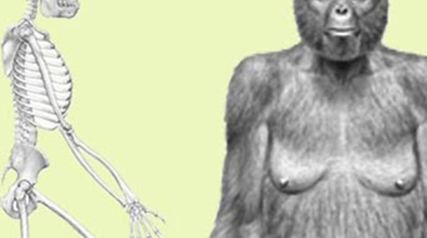 Evrime ışık tutacak bulgu