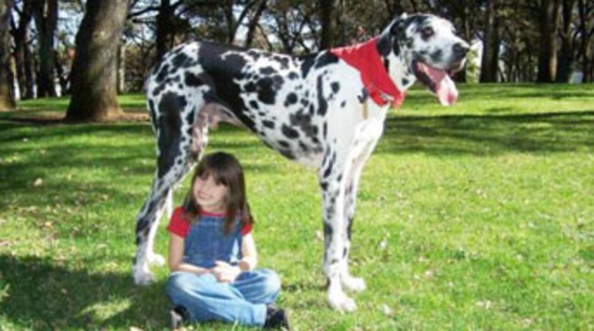 Bir benzeri daha yoktu