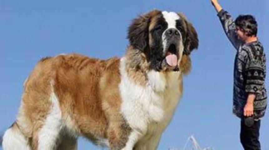 Tartışılan fotoğraflar!