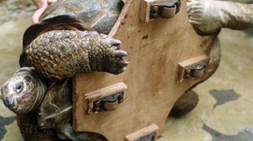 Hem &uuml;z&uuml;yor hem şaşırtıyorlar