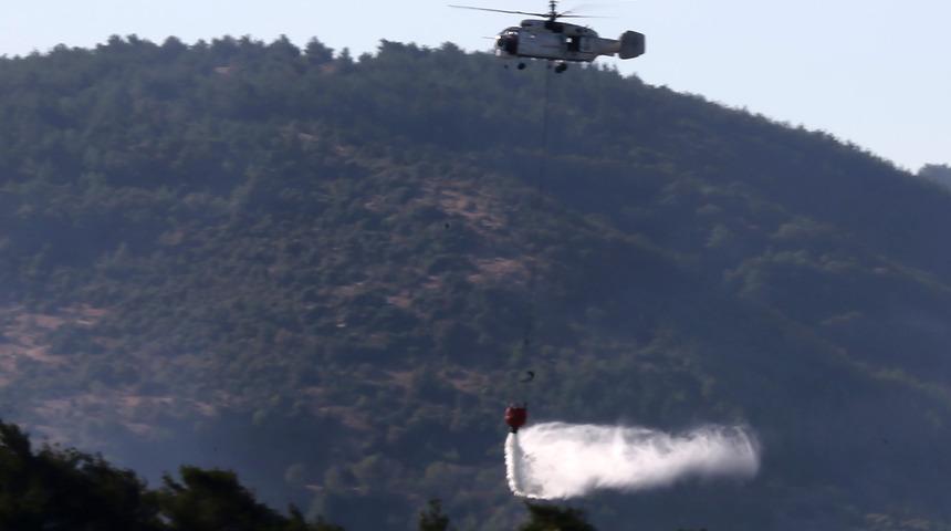Manisa'nın Soma ilçesindeki orman yangını kontrol altına alındı