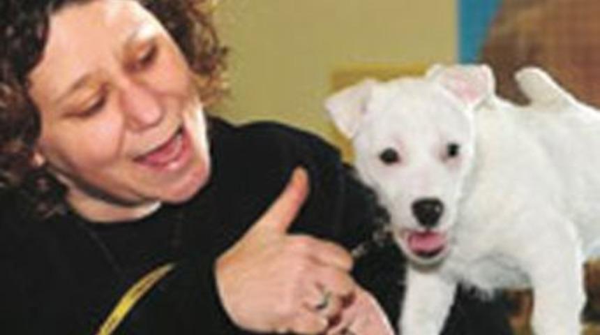 Sağır k&ouml;pek işaret dilini &ouml;ğrendi