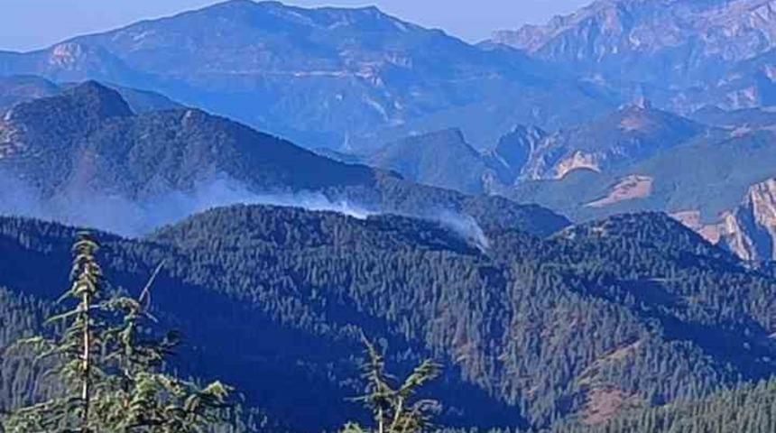 Feke de orman yangını