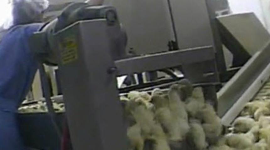 Kulu&ccedil;ka dehşeti