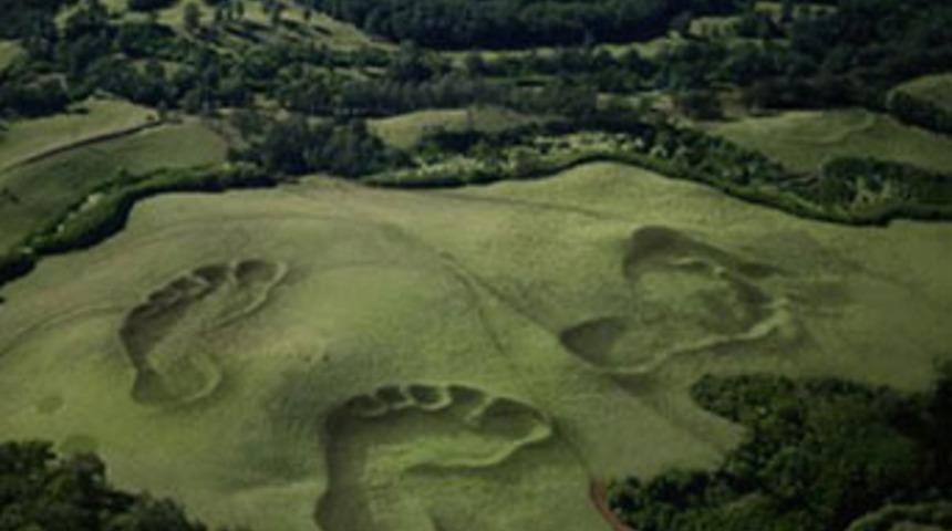 Bu dev şekiller şaşırttı