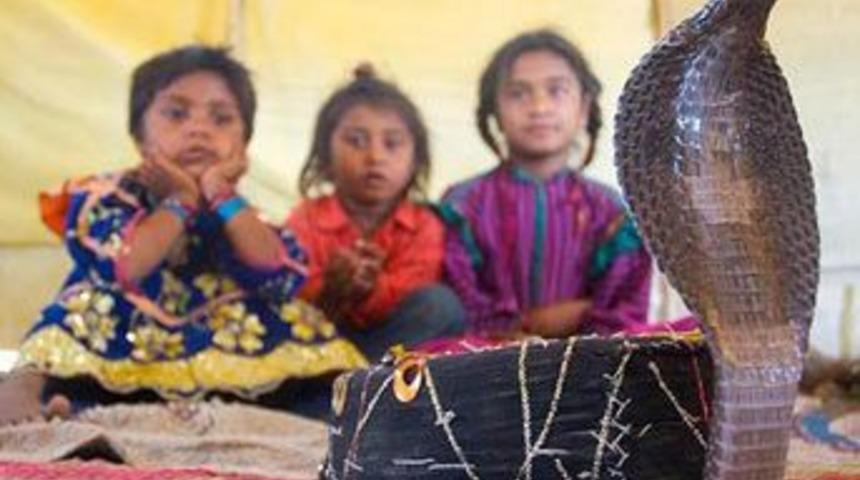 Yılanlarla i&ccedil; i&ccedil;e yaşamak zorundalar