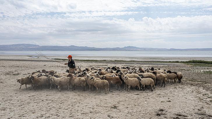 Haritadaki yeri bile değişti... Van Gölü gitgide küçülüyor!  G5