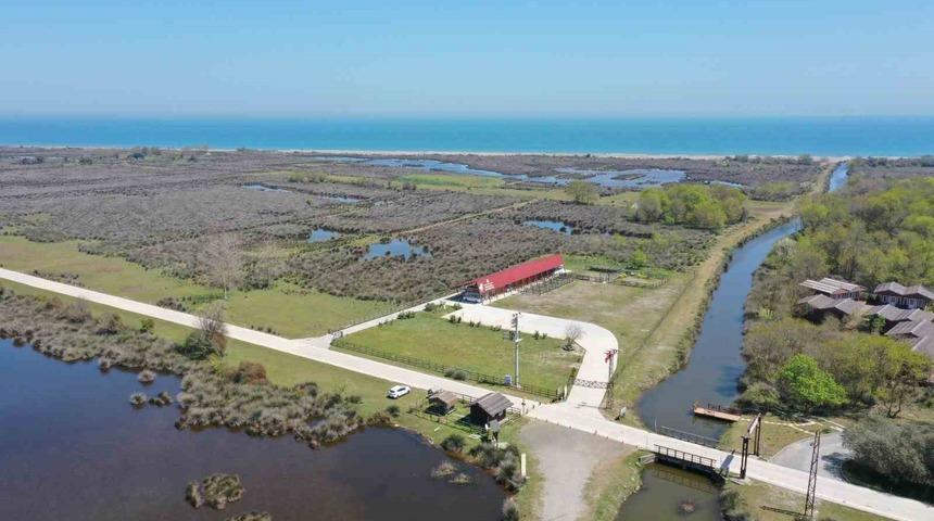 Kuş Cenneti’ni yaz döneminde 50 bin kişi ziyaret etti