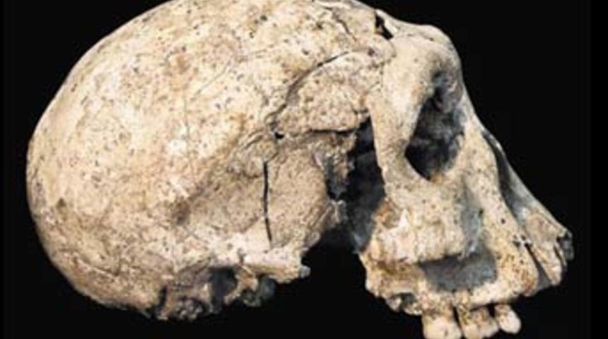 İnsanlık tarihi yeniden yazılacak