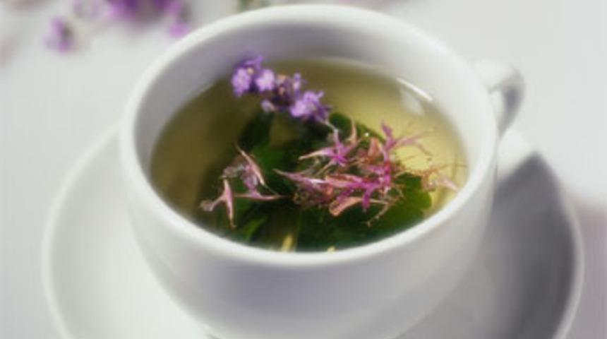 Hangi bitkiler hangi ila&ccedil;la alınmamalı?