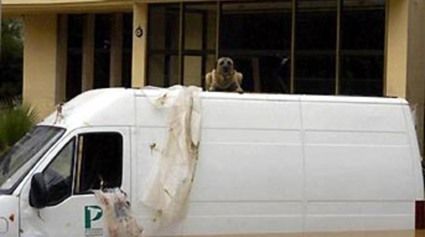 Tabut serviste &ouml;l&uuml;me 'kan parası' teklifi