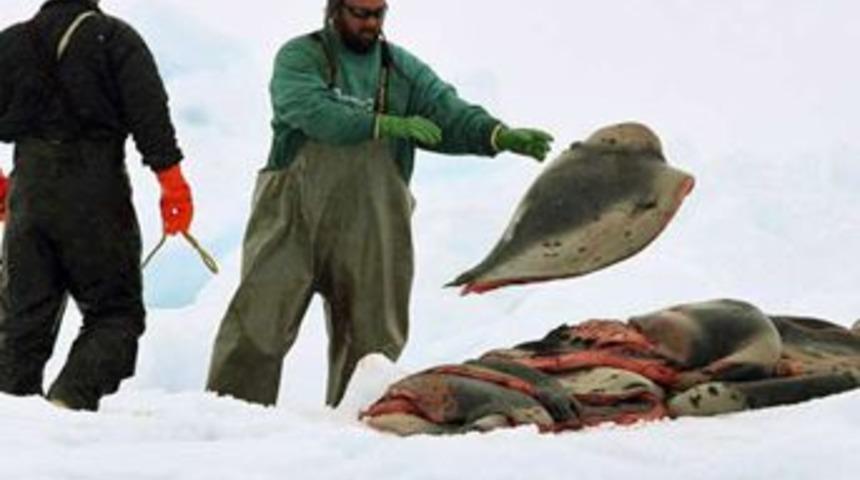 Vahşet b&ouml;yle başladı