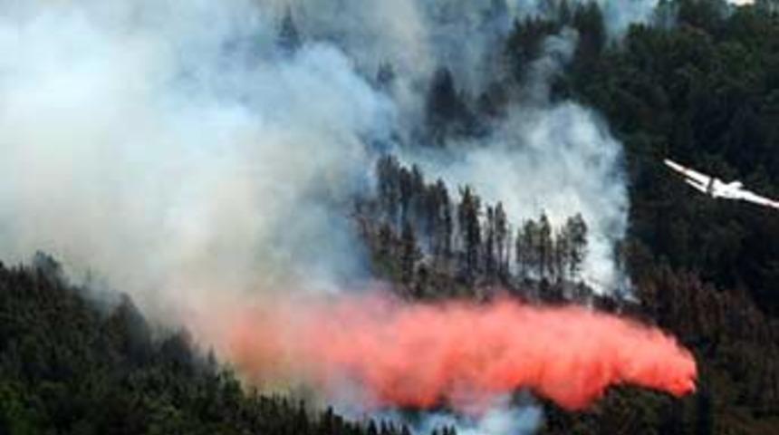 Kaliforniya alev alev