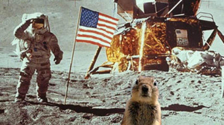 D&uuml;nya bu Sincabı konuşuyor