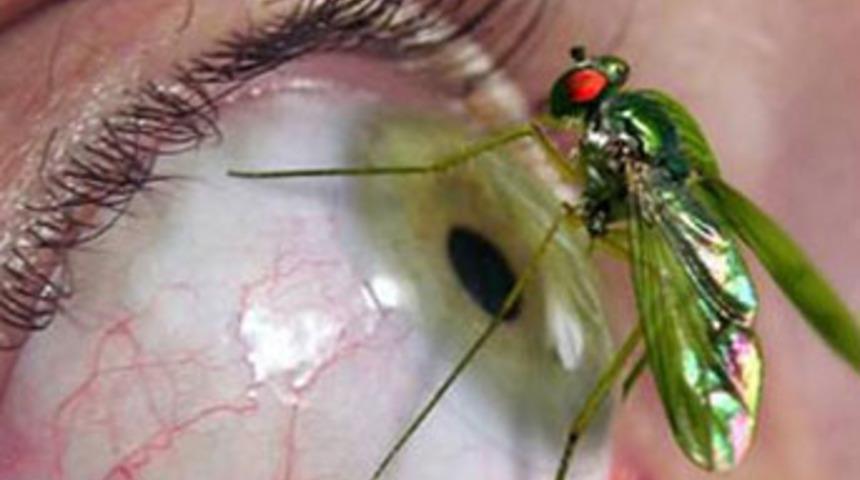 D&uuml;nyanın en garip 10 fobisi